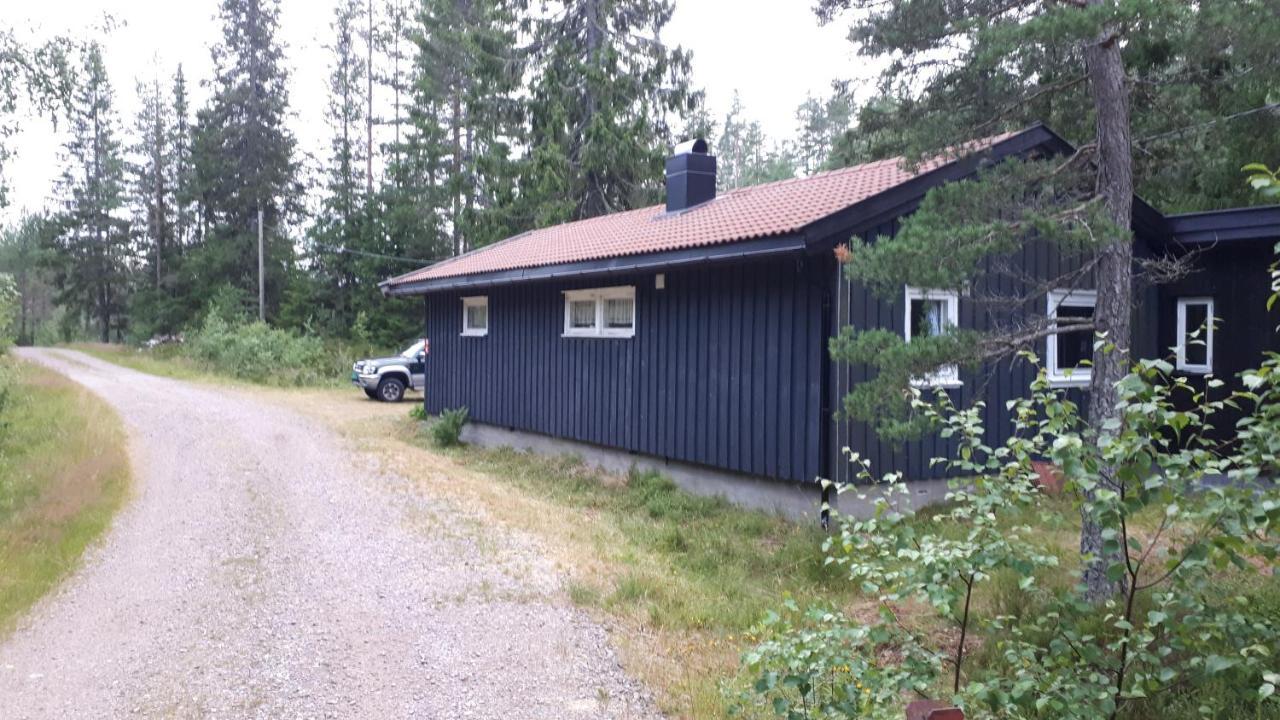 Granheim Hytte Med 2 Soverom Birkeland Exterior foto